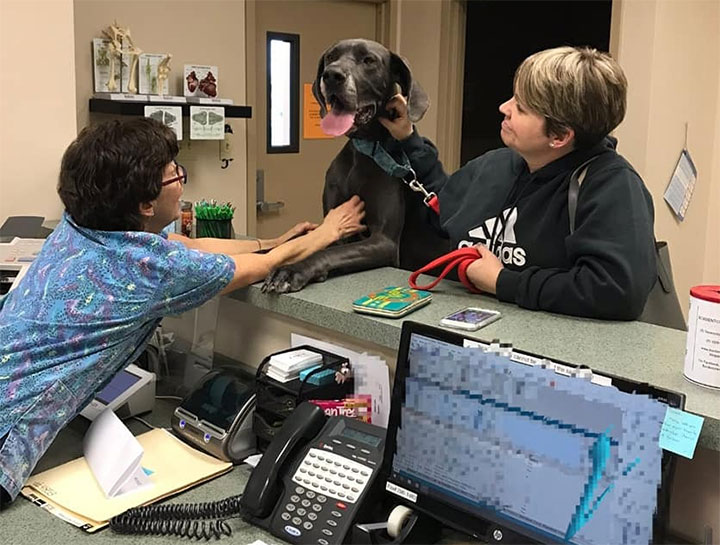 Chesterfield Veterinary Clinic Payment Options