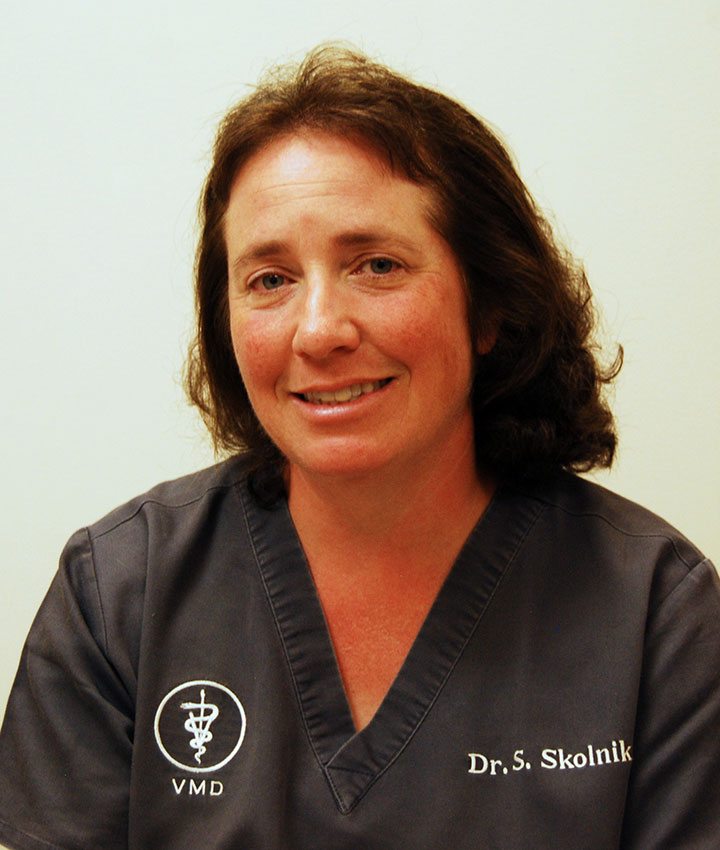 Dr. Sharin Skolnik, VMD